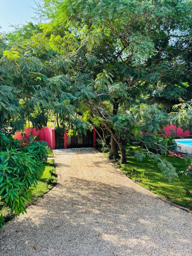 Heda House Bed & Breakfast Sanyang Екстериор снимка